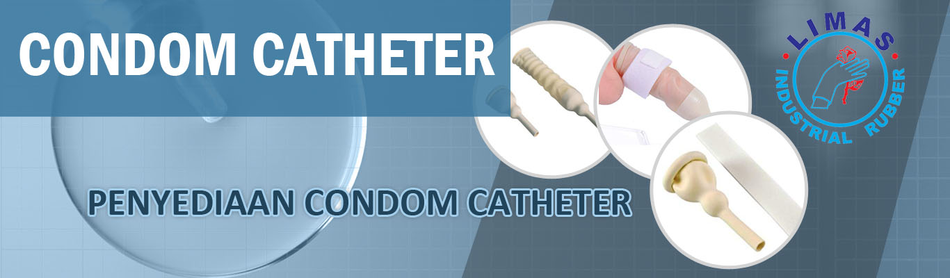 Slide Header